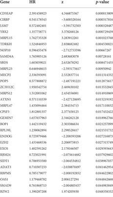 Comprehensive landscape of the functions and prognostic value of RNA binding proteins in uterine corpus endometrial carcinoma